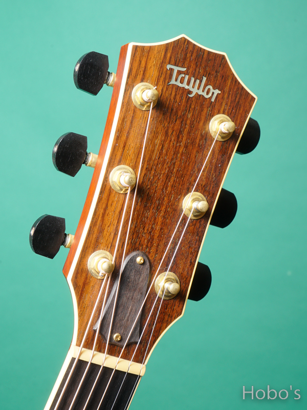 TAYLOR XXV-DR "25th Anniversary Model" 1