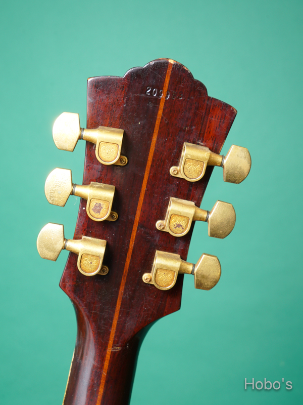 GUILD D-55 NT 2