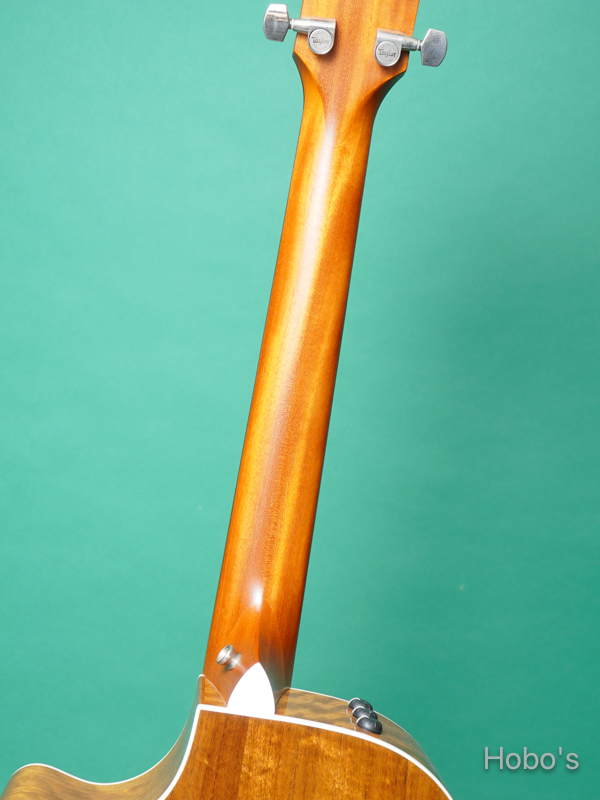 TAYLOR 412ce V-Class 4