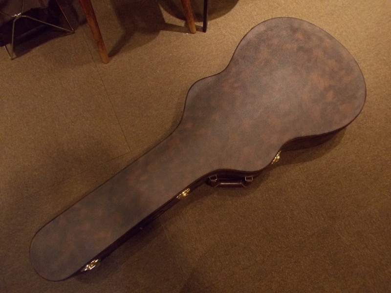 YAMAHA LS26 ARE CASE