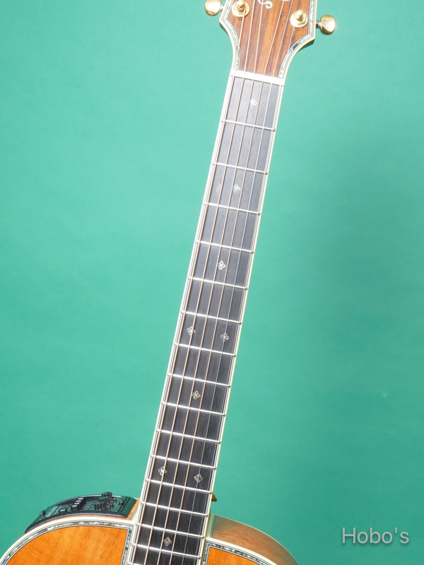 TAKAMINE DMP-400 N 3