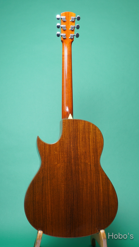 LARRIVEE C-10 "Old Gryphon" BACK
