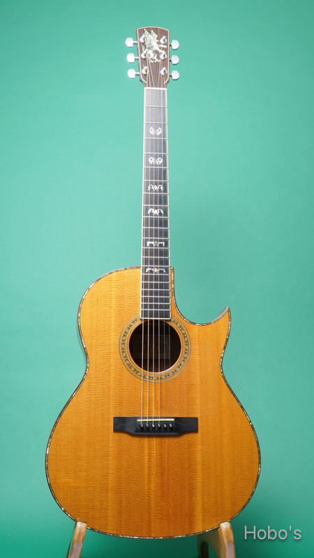 LARRIVEE C-10 "Old Gryphon" FRONT