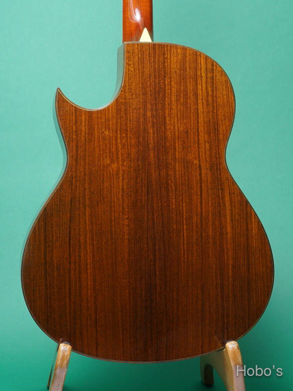 LARRIVEE C-10 "Old Gryphon" 6