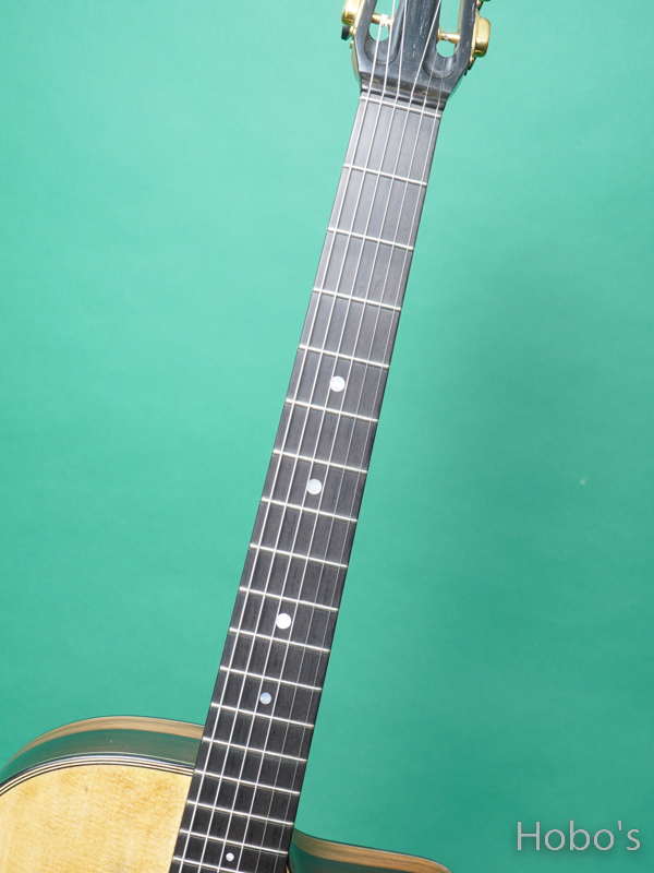 AT Guitars (高野 篤) Petite Bouche RV GBRZ 3