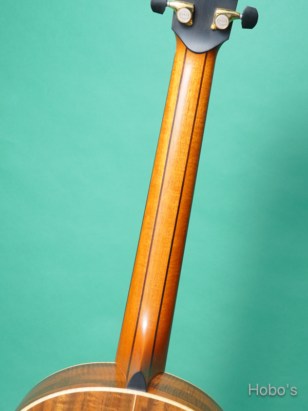 LOWDEN (GEORGE LOWDEN GUITARS)  S-35 "Red Cedar / Walnut"  4