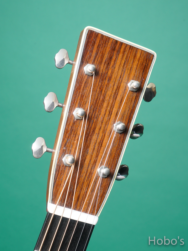 MIKE LONG GUITAR HD-28E 1