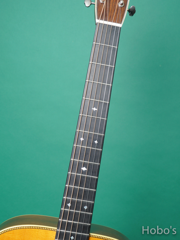 MIKE LONG GUITAR HD-28E 3