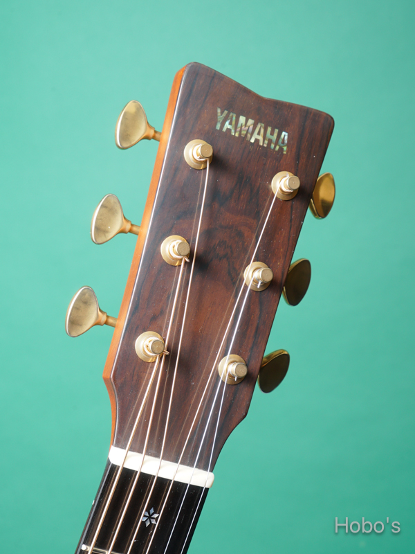 YAMAHA LS66 Custom "Special Order Made" 1