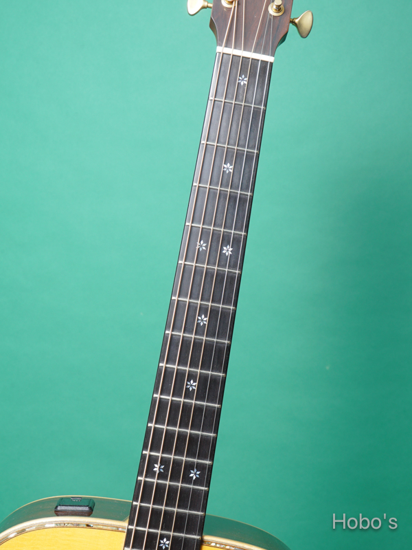 YAMAHA LS66 Custom "Special Order Made" 3