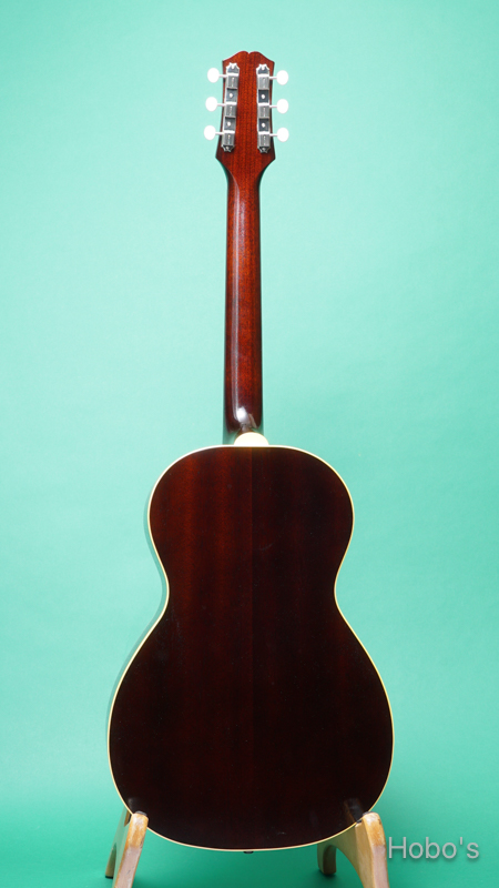 KING SNAKE YUCCA BACK