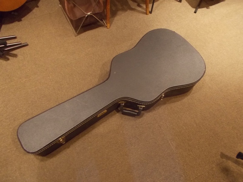 GUILD D-25 CASE