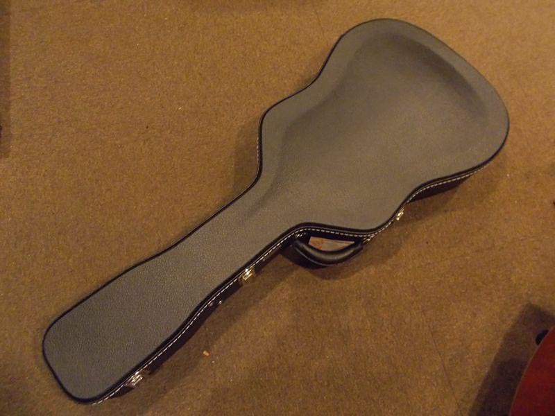 COLLINGS D-1 A HILL COUNTRY CASE