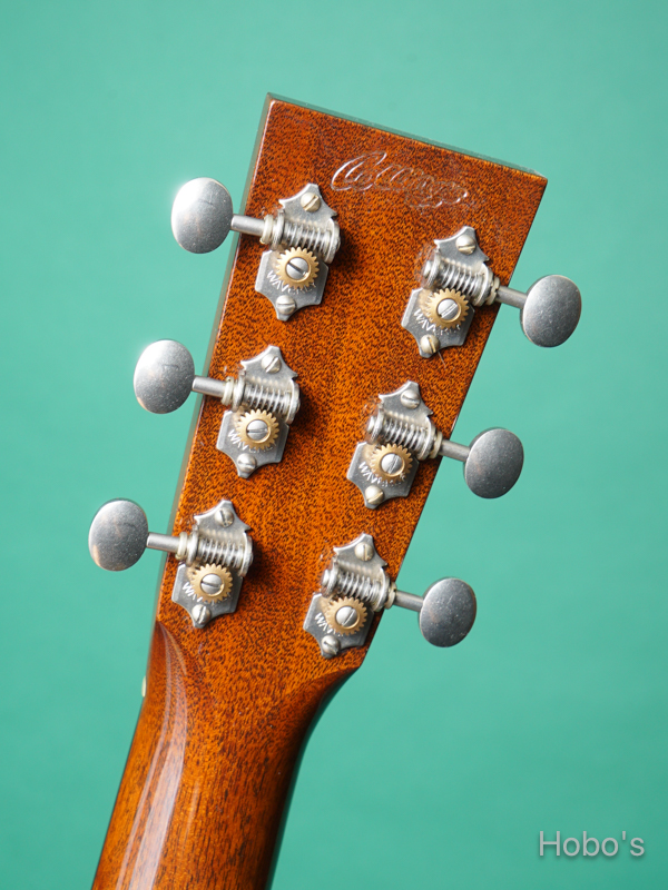 COLLINGS D-1 A HILL COUNTRY 2