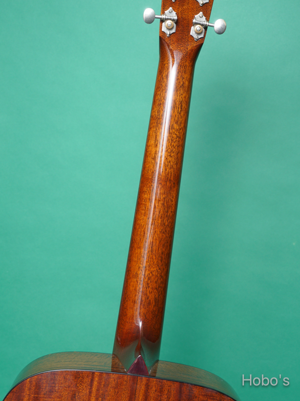 COLLINGS D-1 A HILL COUNTRY 4