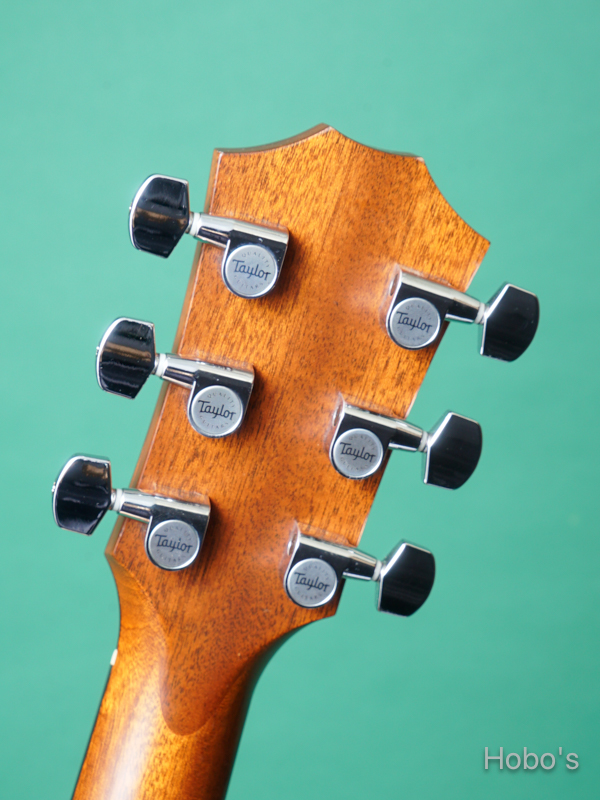 TAYLOR  T5Z Classic Mh 2