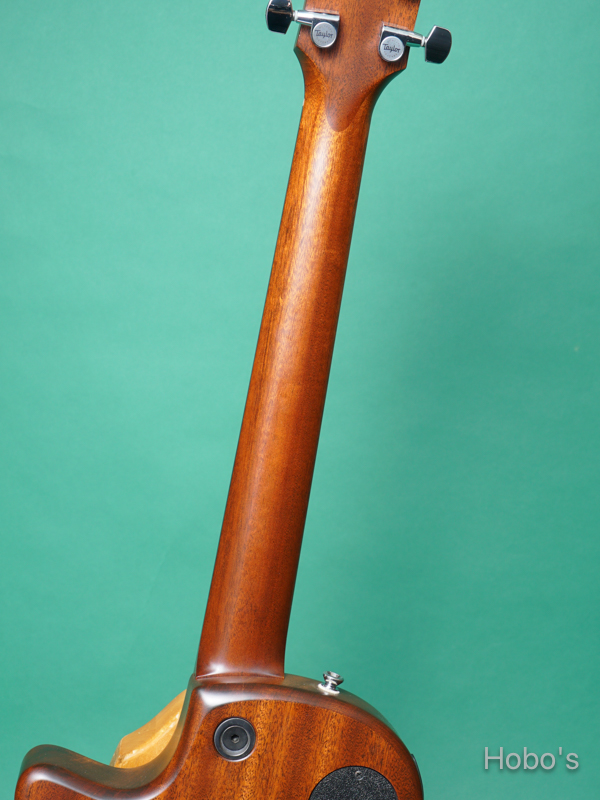 TAYLOR  T5Z Classic Mh 4