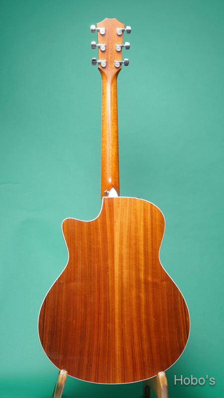 TAYLOR 416ce BACK