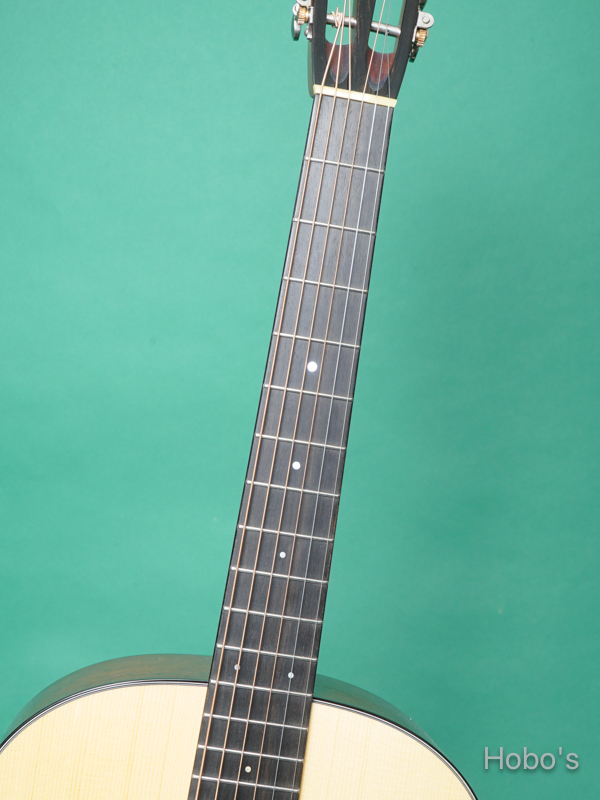 COLLINGS DS-1 A HILL COUNTORY 3
