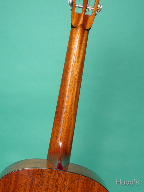 COLLINGS DS-1 A HILL COUNTORY 4