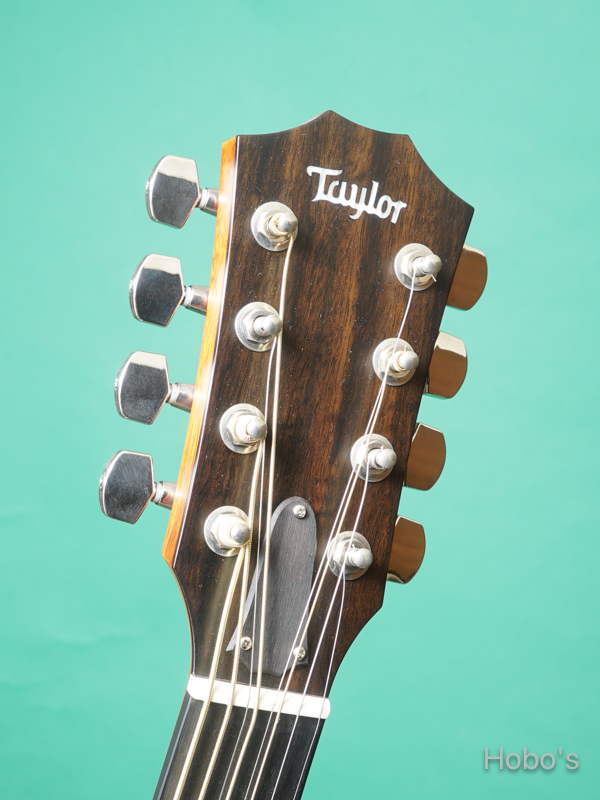 TAYLOR 326ce Baritone-8 LTD 1
