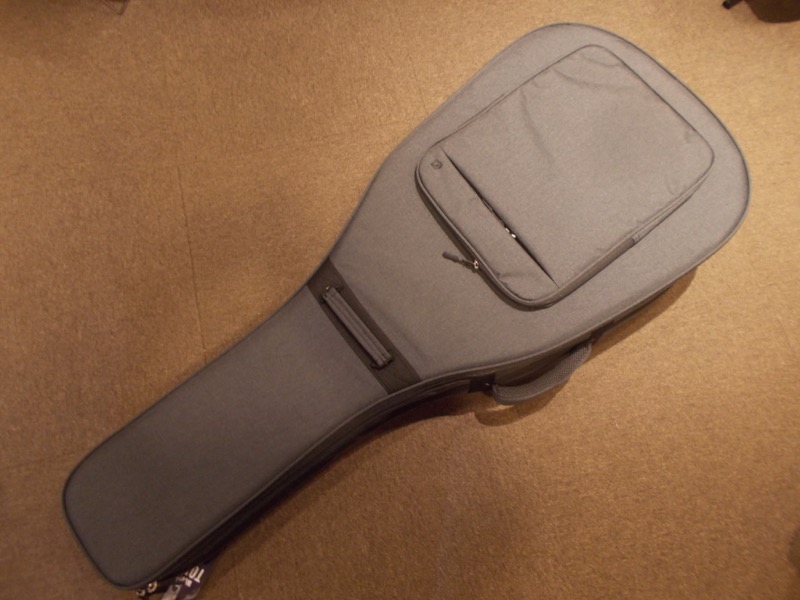 ASTURIAS D-Experiment "Double body" CASE