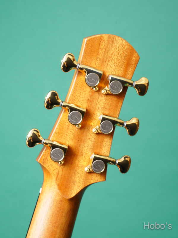 ASTURIAS Grand Solo SCM H-Custom "Special Order Made" 2