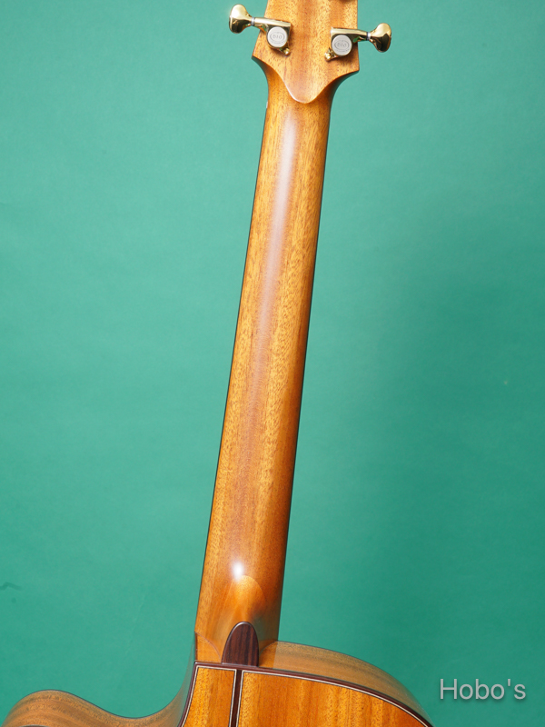 ASTURIAS Grand Solo SCM H-Custom "Special Order Made" 4