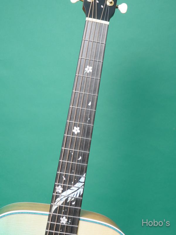 HEADWAY (Aska Team Build) HD-HYUGAZAKURA 3