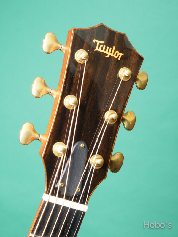 TAYLOR 516ce-FLTD 1