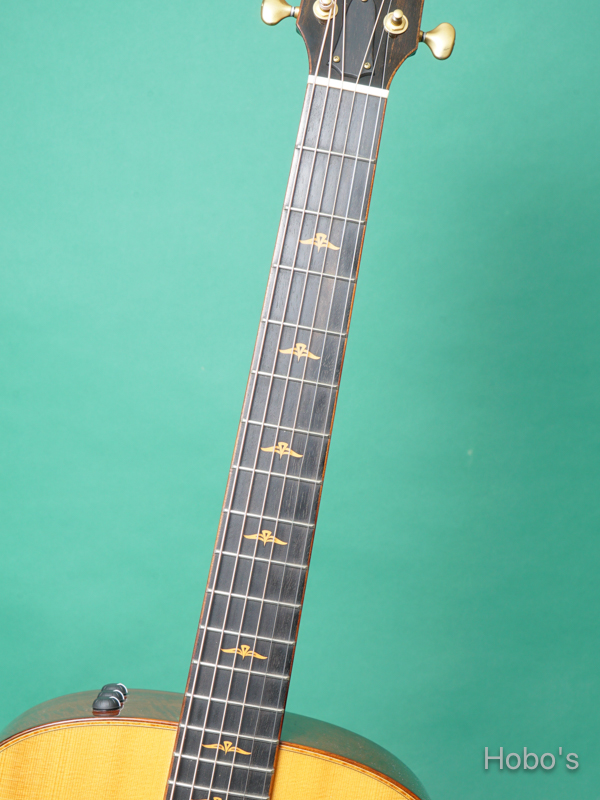 TAYLOR 516ce-FLTD 3