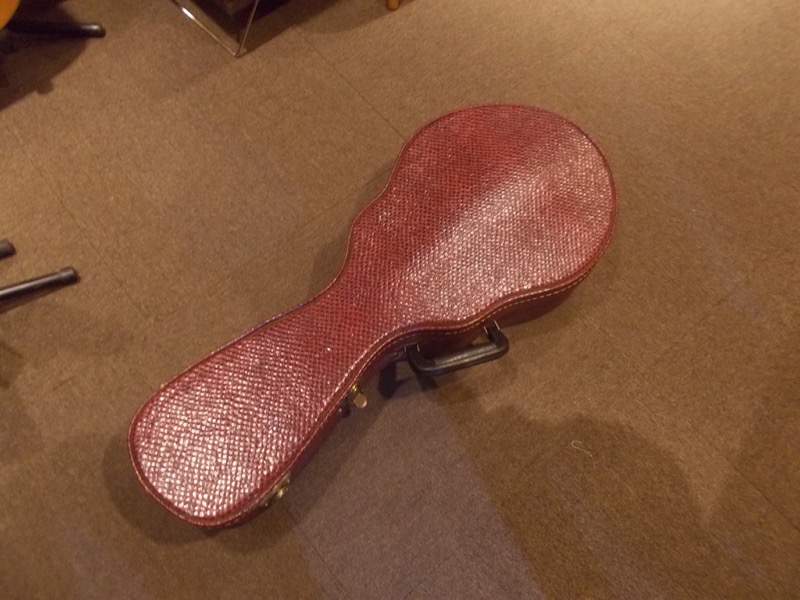 The Phoenix (Rolfe Gerhardt) Double Cutaway Mandolin CASE