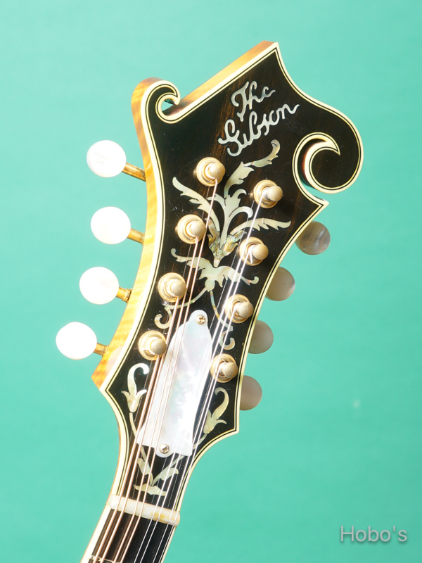 GIBSON F-5L 1