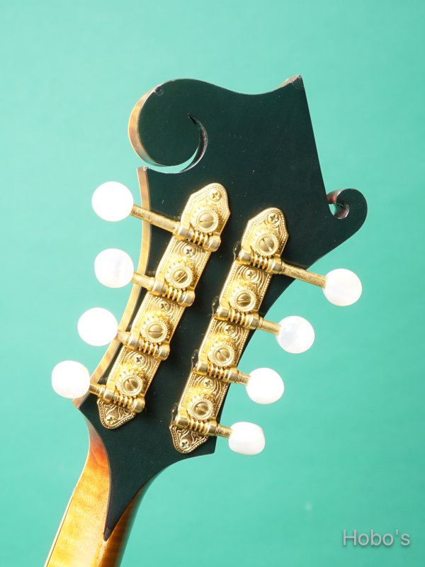 GIBSON F-5L 2