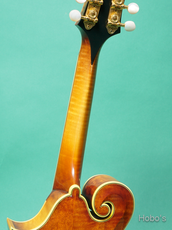 GIBSON F-5L 4