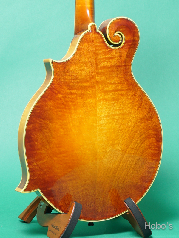GIBSON F-5L 6