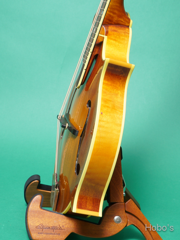GIBSON F-5L 8
