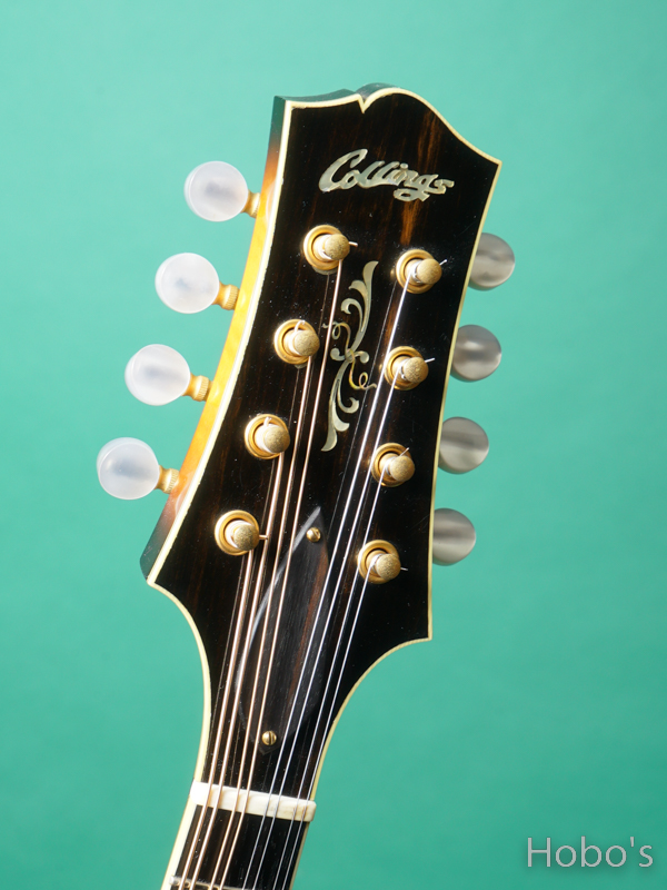 COLLINGS MT-2 SB 1