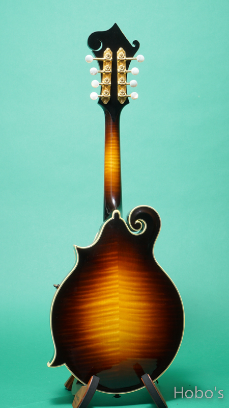 GIBSON F-5L BACK