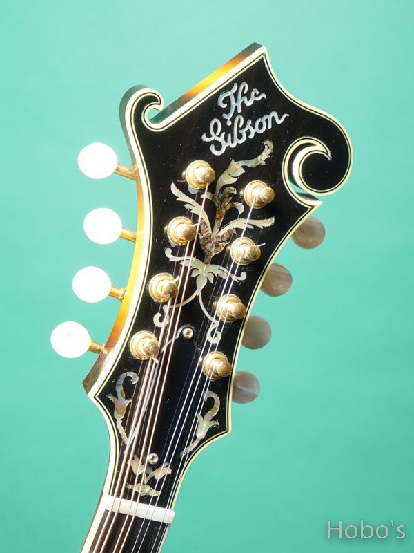 GIBSON F-5L 1