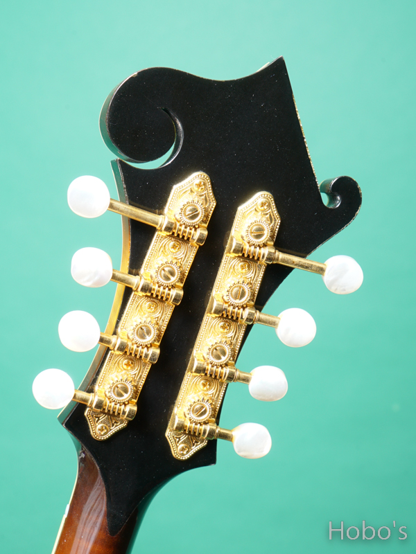 GIBSON F-5L 2