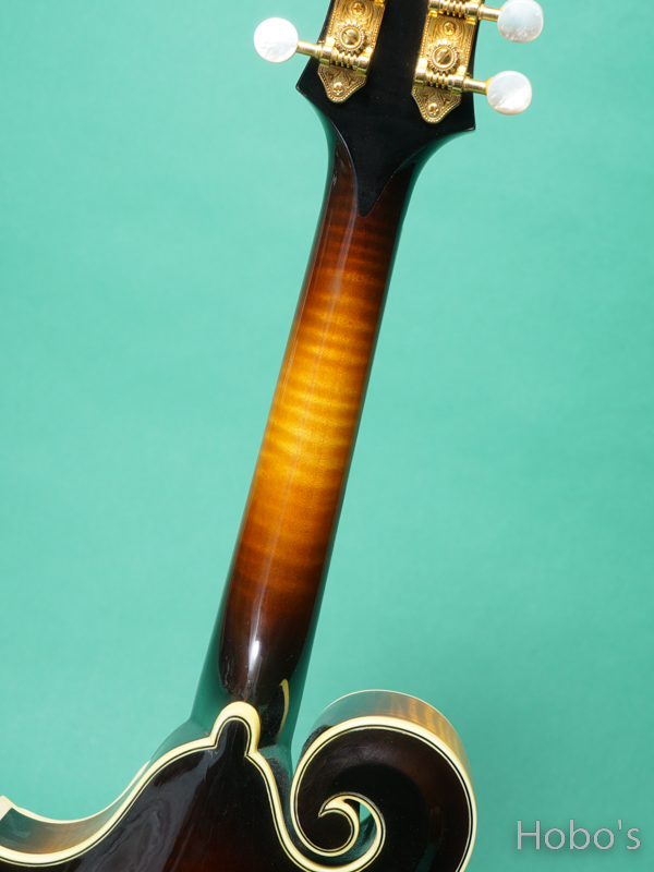 GIBSON F-5L 4
