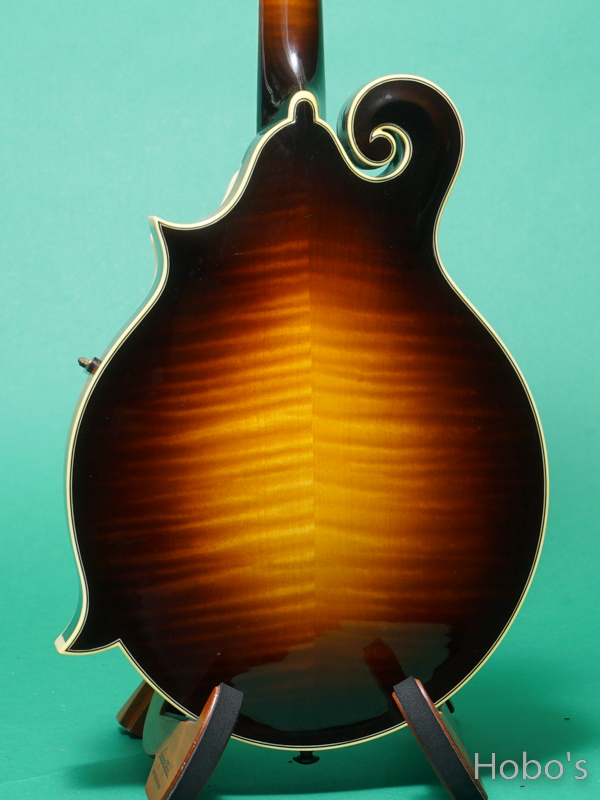 GIBSON F-5L 6
