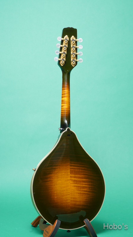 GIBSON A-5L BACK