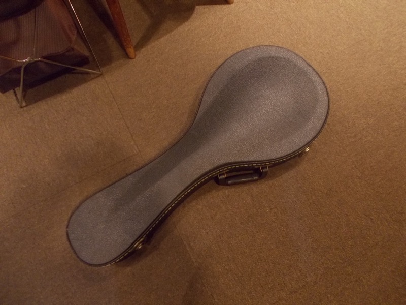 GIBSON A-5L CASE