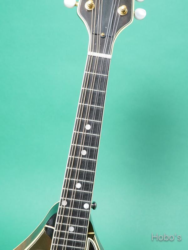 GIBSON A-5L 3