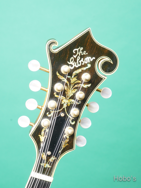 GIBSON F-5L 1