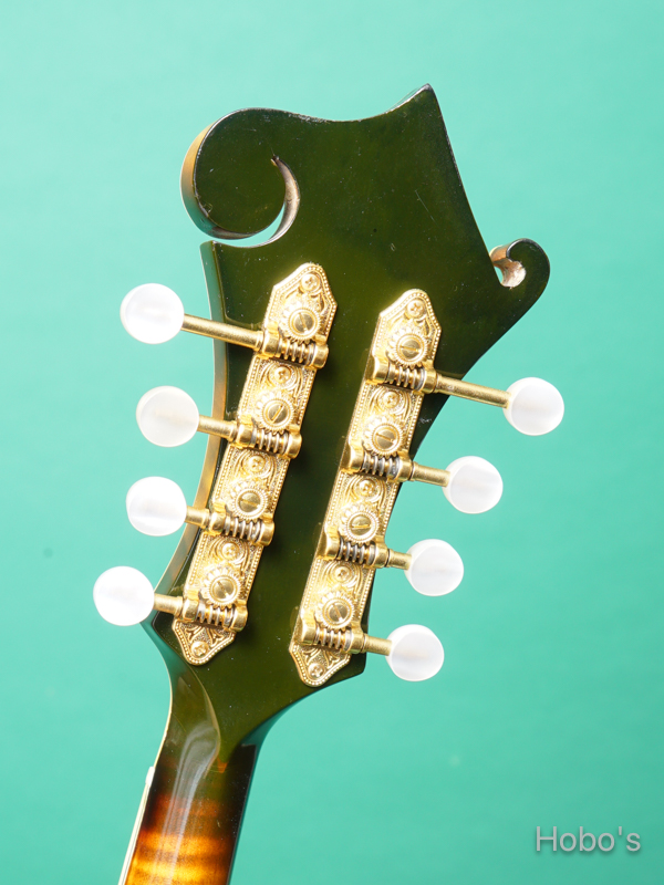 GIBSON F-5L 2
