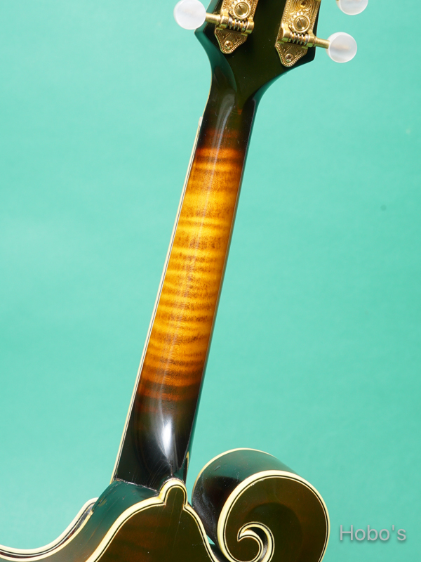 GIBSON F-5L 4