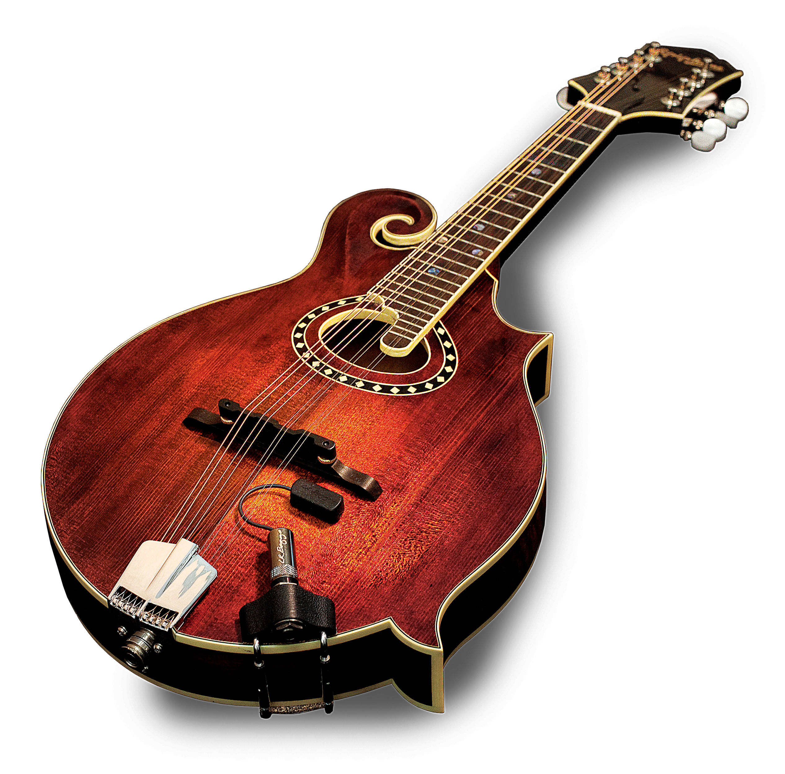 ピックアップ RADIUS (Mandolin Pickup )
